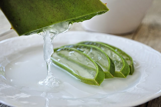 How to Use Aloe Vera for Better Sex and Other Commonly Questions Answe Amrutam How to Use Aloe Vera for Better Sex and Other Commonly Questions Answe Amrutam